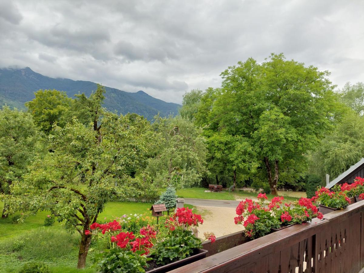Apartments Susnik Bohinj ภายนอก รูปภาพ