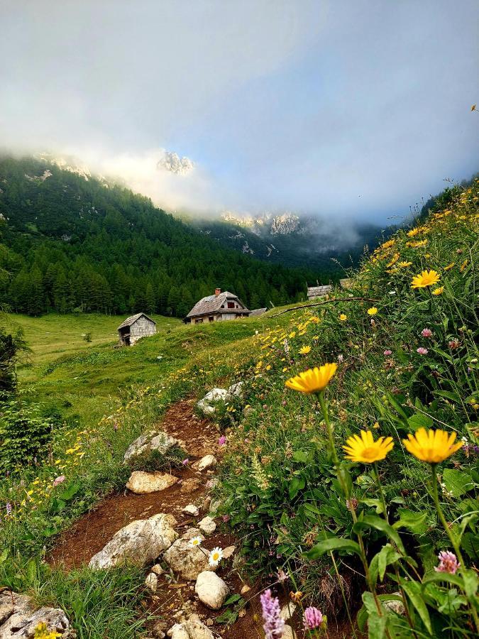 Apartments Susnik Bohinj ภายนอก รูปภาพ