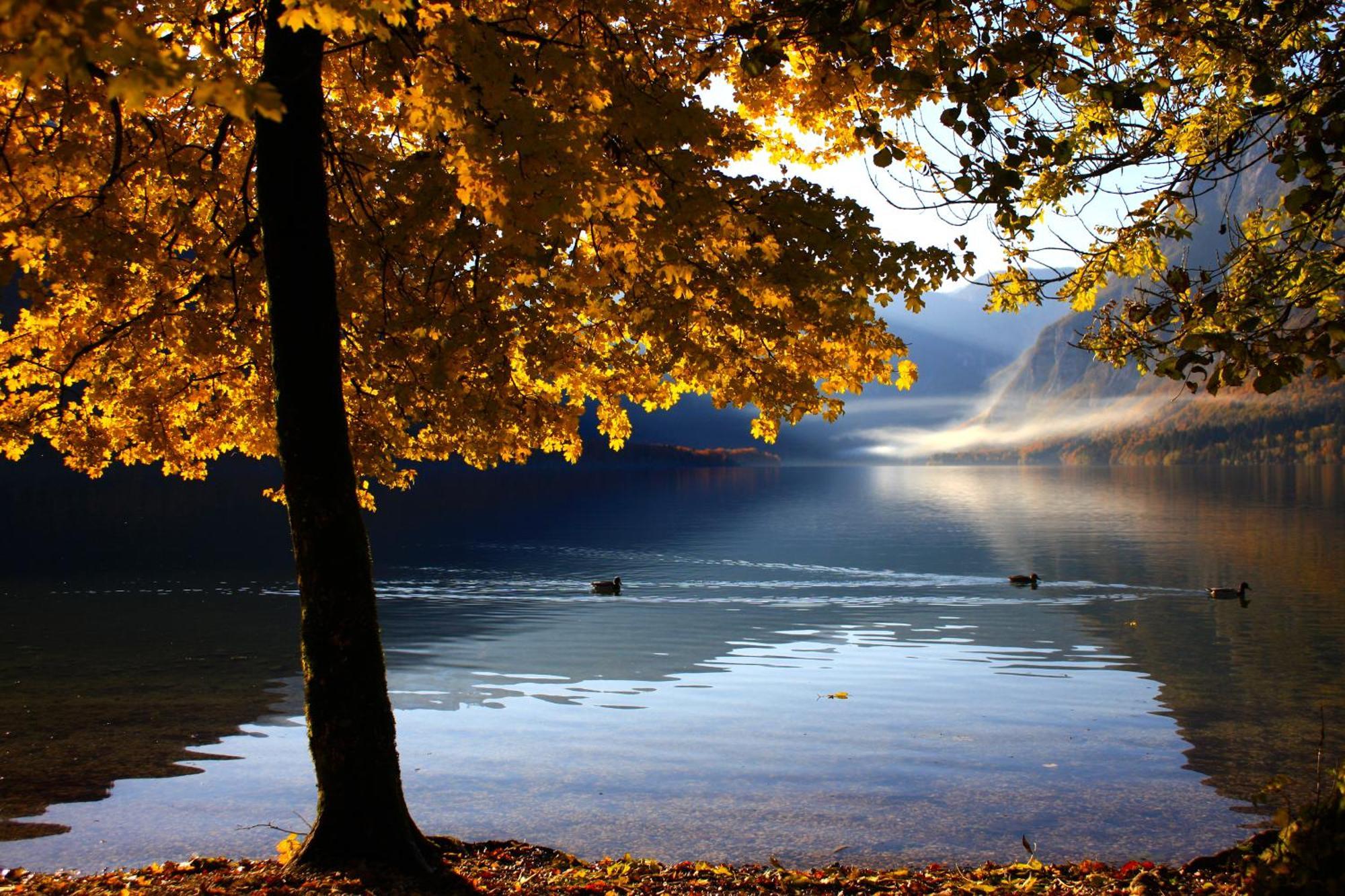 Apartments Susnik Bohinj ภายนอก รูปภาพ
