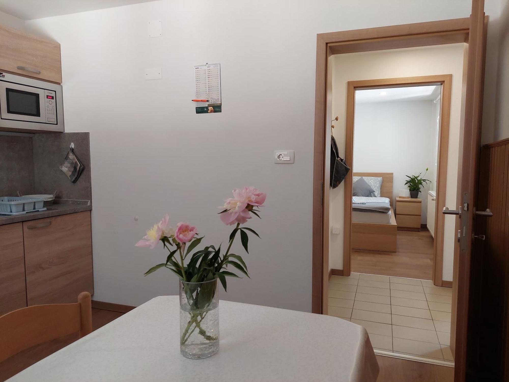Apartments Susnik Bohinj ห้อง รูปภาพ